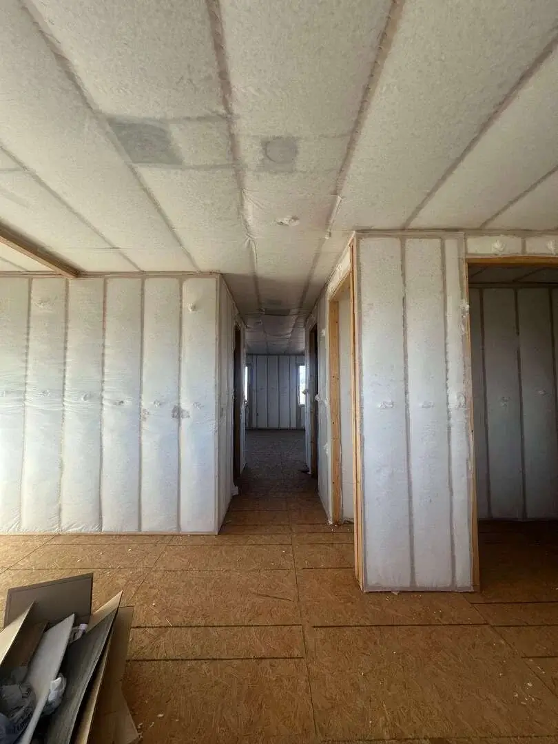 Interior Renovation: Framing & Insulation